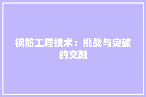 钢筋工程技术：挑战与突破的交融