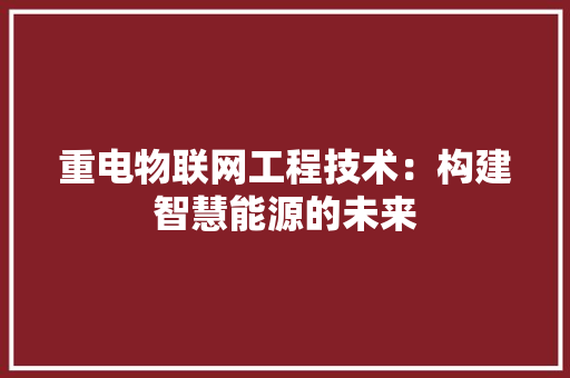 重电物联网工程技术：构建智慧能源的未来