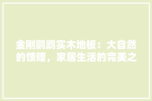 金刚鹦鹉实木地板：大自然的馈赠，家居生活的完美之选 室内设计