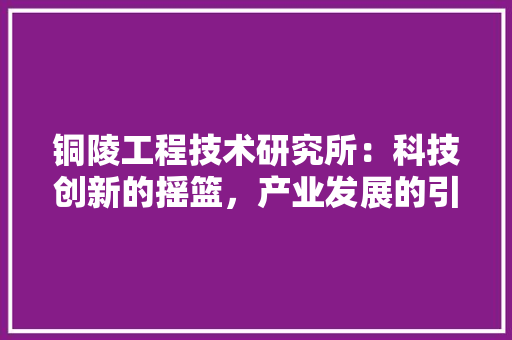 铜陵工程技术研究所：科技创新的摇篮，产业发展的引擎