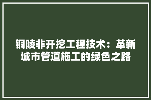 铜陵非开挖工程技术：革新城市管道施工的绿色之路