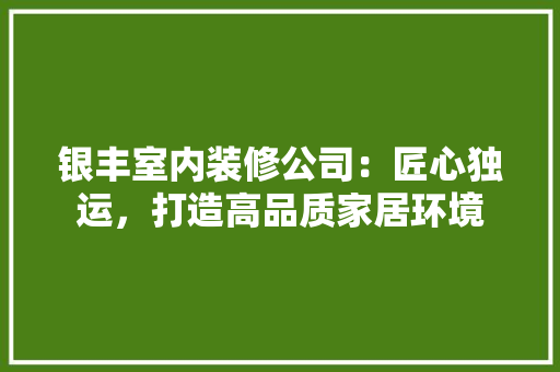 银丰室内装修公司：匠心独运，打造高品质家居环境 室内设计