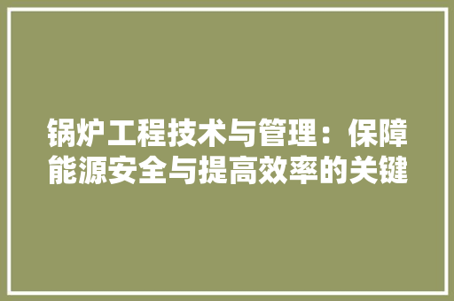 锅炉工程技术与管理：保障能源安全与提高效率的关键