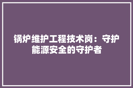 锅炉维护工程技术岗：守护能源安全的守护者