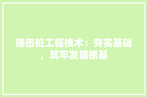 锤击桩工程技术：夯实基础，筑牢发展根基 室内设计