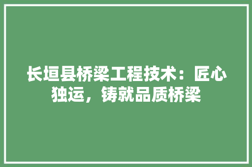 长垣县桥梁工程技术：匠心独运，铸就品质桥梁