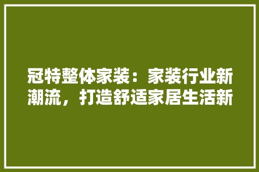 冠特整体家装：家装行业新潮流，打造舒适家居生活新典范 家居装修