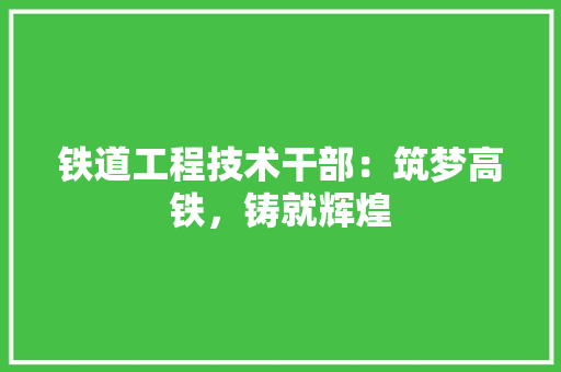 铁道工程技术干部：筑梦高铁，铸就辉煌