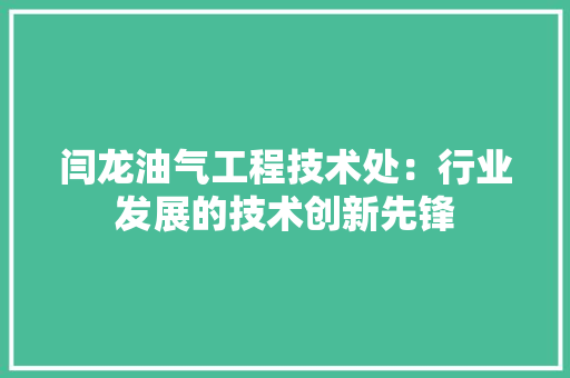 闫龙油气工程技术处：行业发展的技术创新先锋