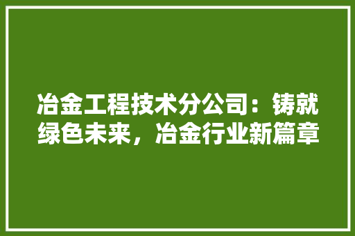 冶金工程技术分公司：铸就绿色未来，冶金行业新篇章 家居装修