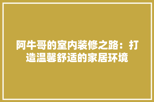 阿牛哥的室内装修之路：打造温馨舒适的家居环境