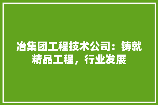 冶集团工程技术公司：铸就精品工程，行业发展