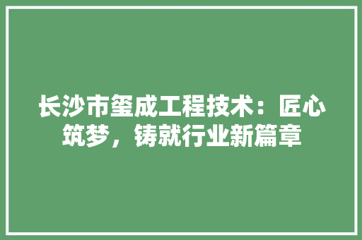 长沙市玺成工程技术：匠心筑梦，铸就行业新篇章 室内设计