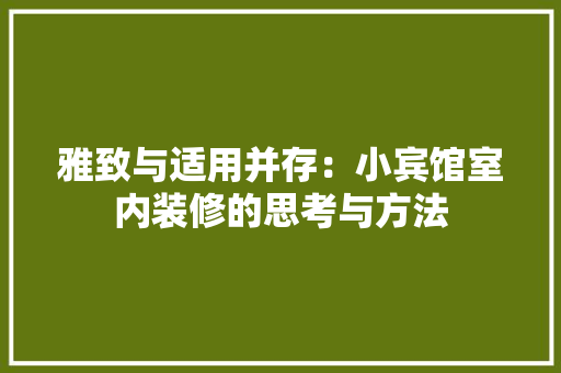 雅致与适用并存：小宾馆室内装修的思考与方法 室内设计