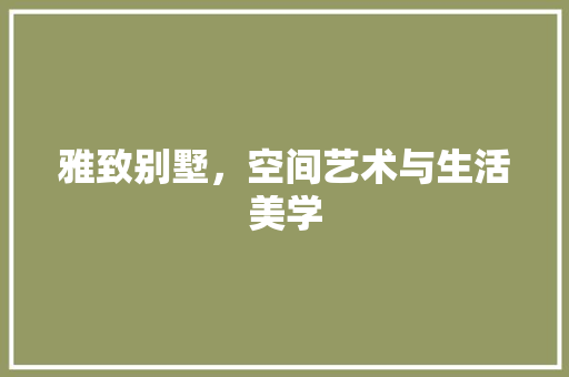 雅致别墅，空间艺术与生活美学 室内设计