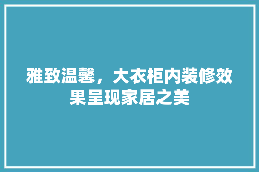 雅致温馨，大衣柜内装修效果呈现家居之美 室内设计