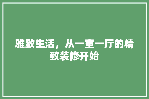 雅致生活，从一室一厅的精致装修开始 室内设计