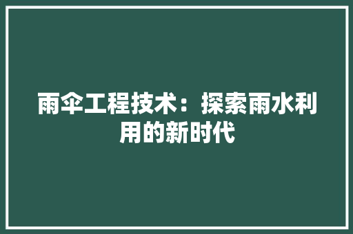 雨伞工程技术：探索雨水利用的新时代