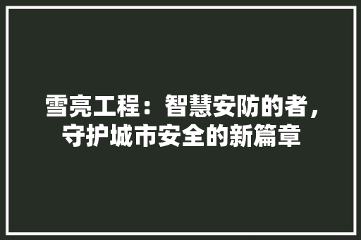 雪亮工程：智慧安防的者，守护城市安全的新篇章