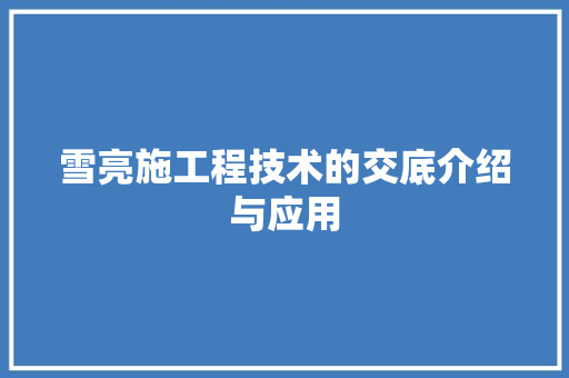 雪亮施工程技术的交底介绍与应用 室内设计