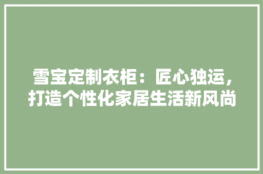 雪宝定制衣柜：匠心独运，打造个性化家居生活新风尚 室内设计