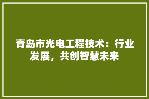 青岛市光电工程技术：行业发展，共创智慧未来 室内设计