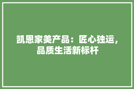 凯恩家美产品：匠心独运，品质生活新标杆 家居装修