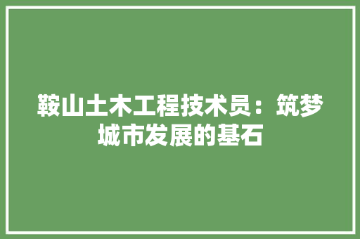 鞍山土木工程技术员：筑梦城市发展的基石