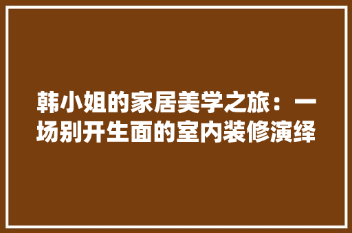 韩小姐的家居美学之旅：一场别开生面的室内装修演绎 室内设计