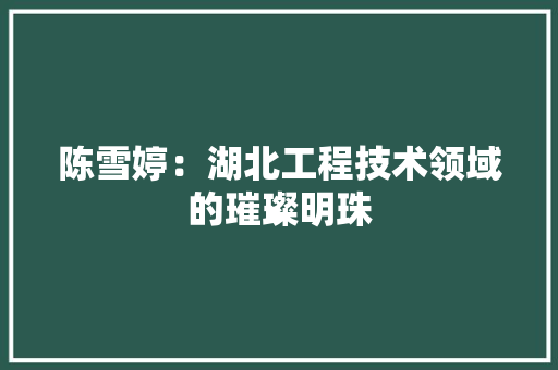 陈雪婷：湖北工程技术领域的璀璨明珠 室内设计