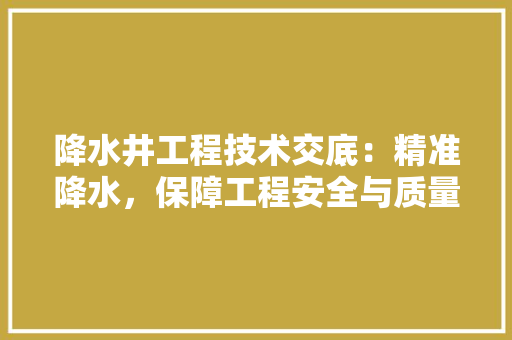 降水井工程技术交底：精准降水，保障工程安全与质量 室内设计