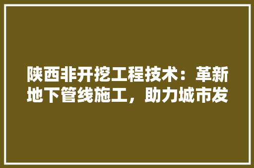 陕西非开挖工程技术：革新地下管线施工，助力城市发展 室内设计