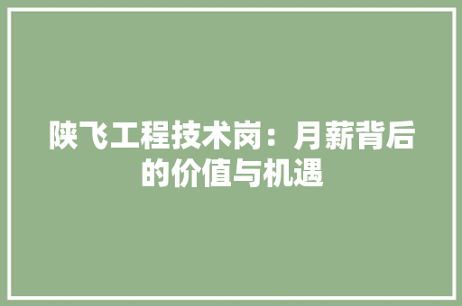 陕飞工程技术岗：月薪背后的价值与机遇