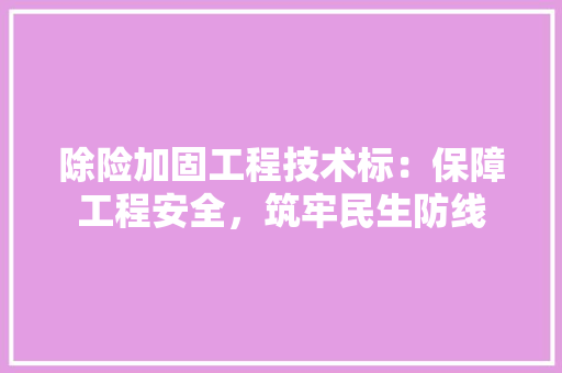 除险加固工程技术标：保障工程安全，筑牢民生防线 室内设计