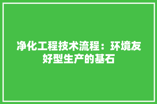 净化工程技术流程：环境友好型生产的基石