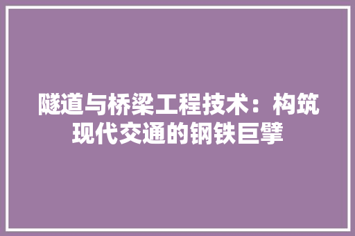隧道与桥梁工程技术：构筑现代交通的钢铁巨擘