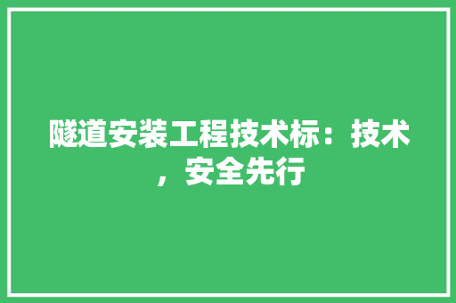 隧道安装工程技术标：技术，安全先行