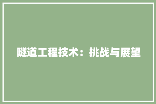 隧道工程技术：挑战与展望