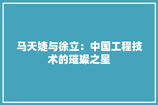 马天婕与徐立：中国工程技术的璀璨之星