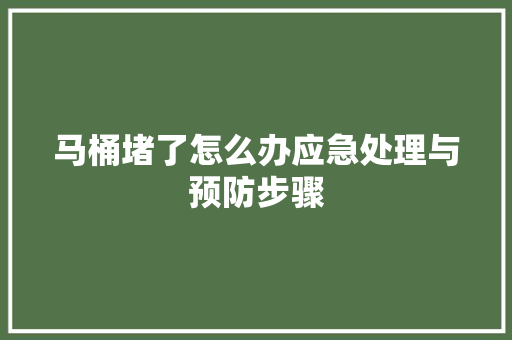 马桶堵了怎么办应急处理与预防步骤 室内设计