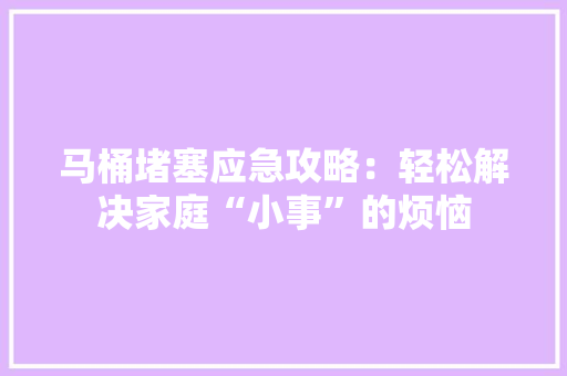 马桶堵塞应急攻略：轻松解决家庭“小事”的烦恼 室内设计