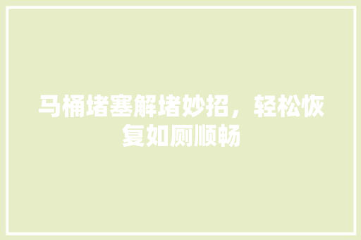 马桶堵塞解堵妙招，轻松恢复如厕顺畅