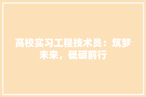高校实习工程技术员：筑梦未来，砥砺前行