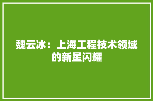 魏云冰：上海工程技术领域的新星闪耀
