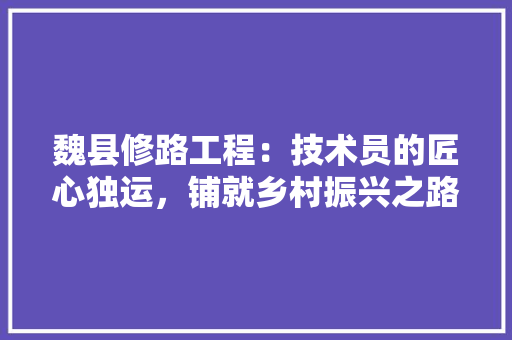 魏县修路工程：技术员的匠心独运，铺就乡村振兴之路
