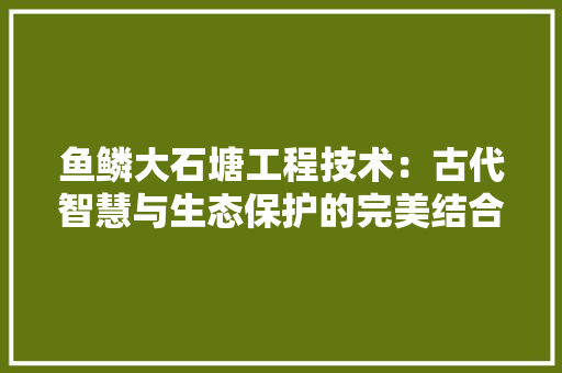 鱼鳞大石塘工程技术：古代智慧与生态保护的完美结合 室内设计