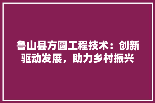 鲁山县方圆工程技术：创新驱动发展，助力乡村振兴 室内设计