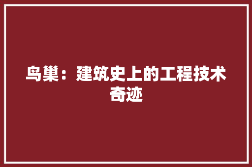 鸟巢：建筑史上的工程技术奇迹 室内设计