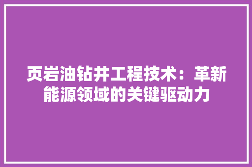 页岩油钻井工程技术：革新能源领域的关键驱动力