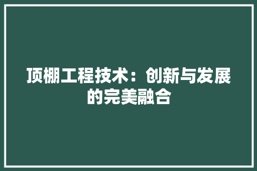 顶棚工程技术：创新与发展的完美融合 室内设计